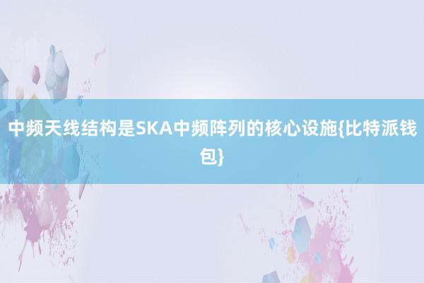 中频天线结构是SKA中频阵列的核心设施{比特派钱包}