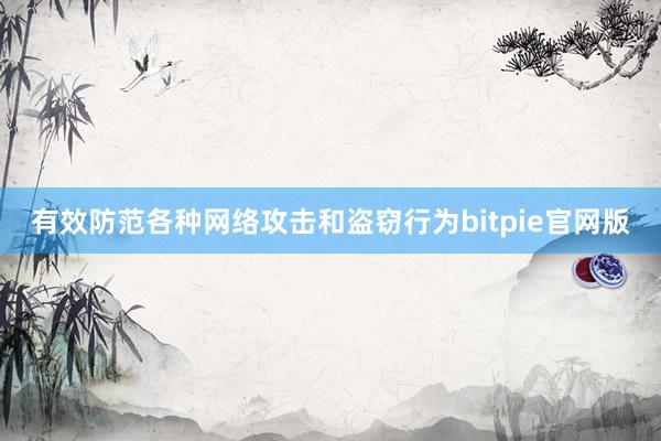 有效防范各种网络攻击和盗窃行为bitpie官网版