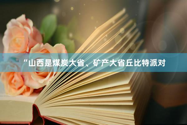 “山西是煤炭大省、矿产大省丘比特派对