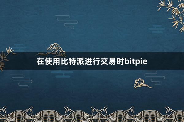 在使用比特派进行交易时bitpie