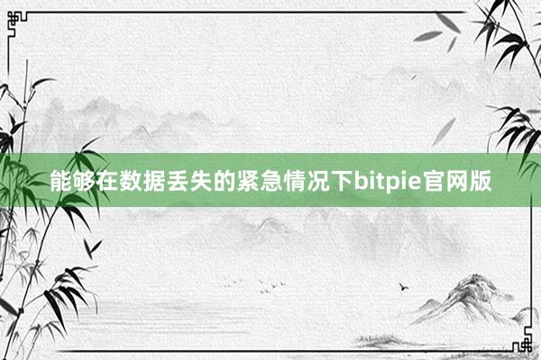 能够在数据丢失的紧急情况下bitpie官网版