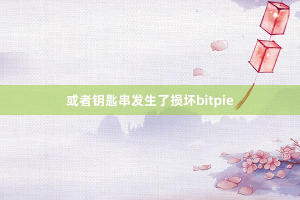 或者钥匙串发生了损坏bitpie