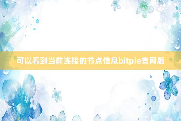 可以看到当前连接的节点信息bitpie官网版