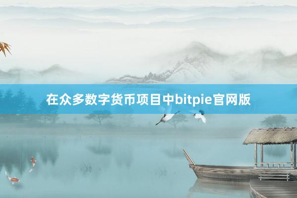 在众多数字货币项目中bitpie官网版