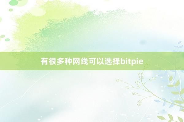 有很多种网线可以选择bitpie