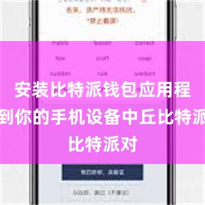 安装比特派钱包应用程序到你的手机设备中丘比特派对